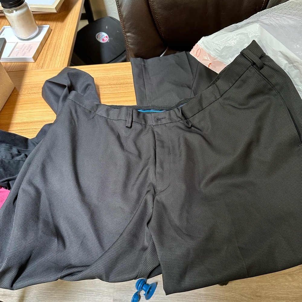 Dress pants